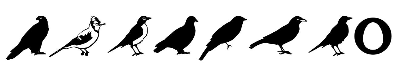 Altemus Birds